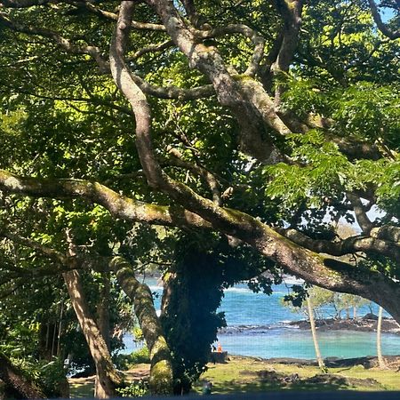 Ocean View Mauna Loa Shores Kai Ekahi #201 Next To Carlsmith Beach Park Hilo Hi Buitenkant foto