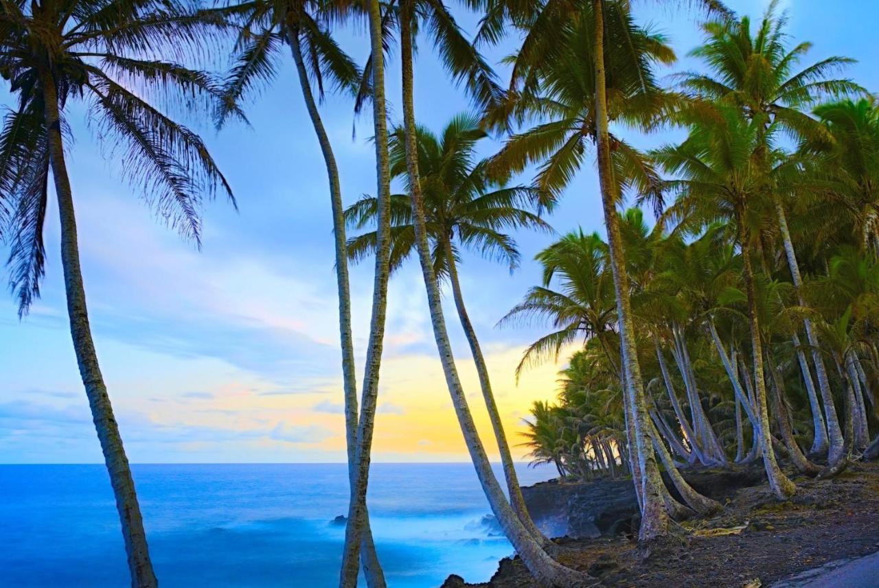 Ocean View Mauna Loa Shores Kai Ekahi #201 Next To Carlsmith Beach Park Hilo Hi Buitenkant foto