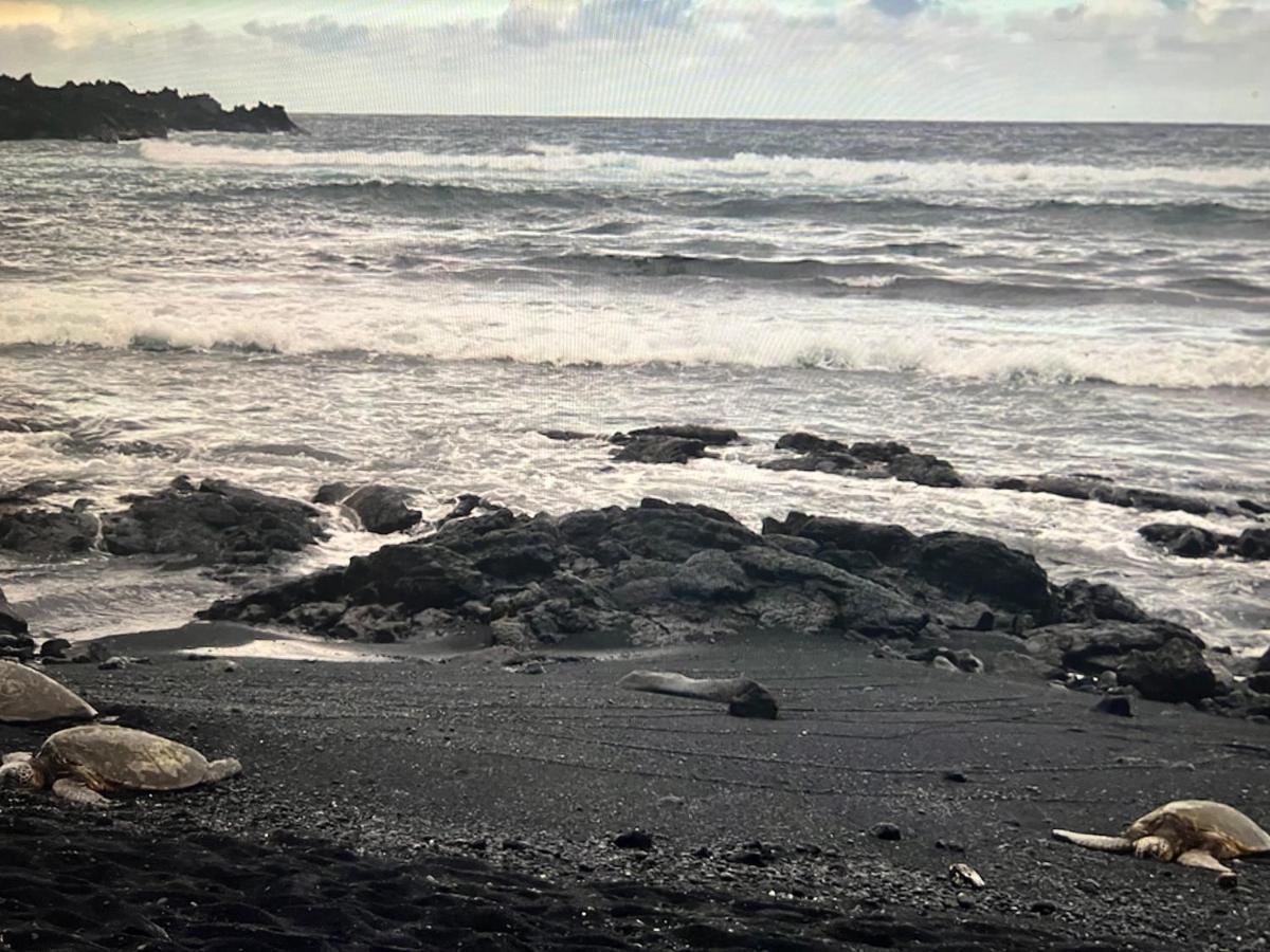 Ocean View Mauna Loa Shores Kai Ekahi #201 Next To Carlsmith Beach Park Hilo Hi Buitenkant foto