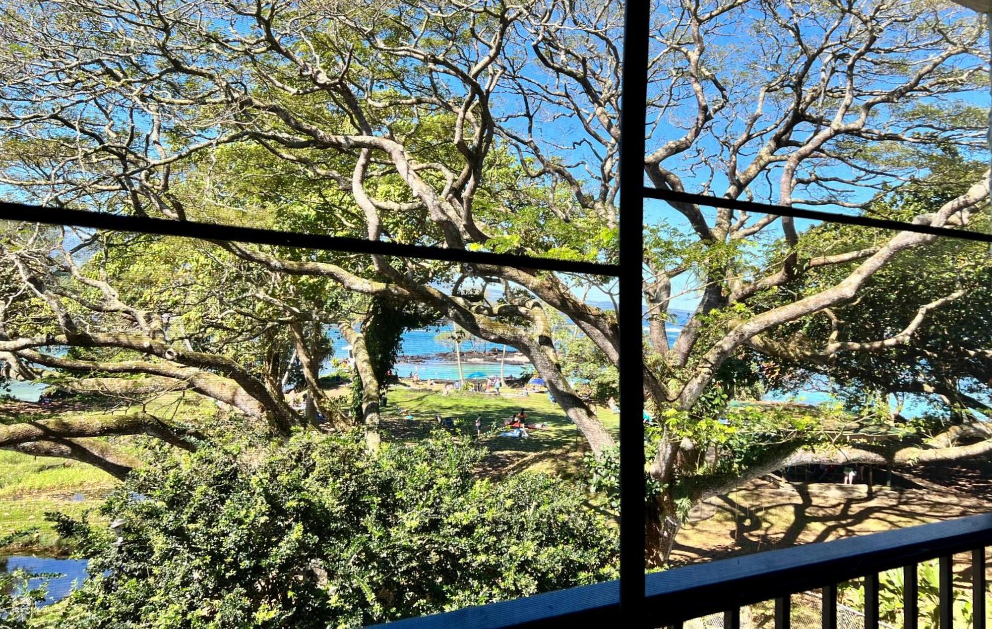 Ocean View Mauna Loa Shores Kai Ekahi #201 Next To Carlsmith Beach Park Hilo Hi Buitenkant foto
