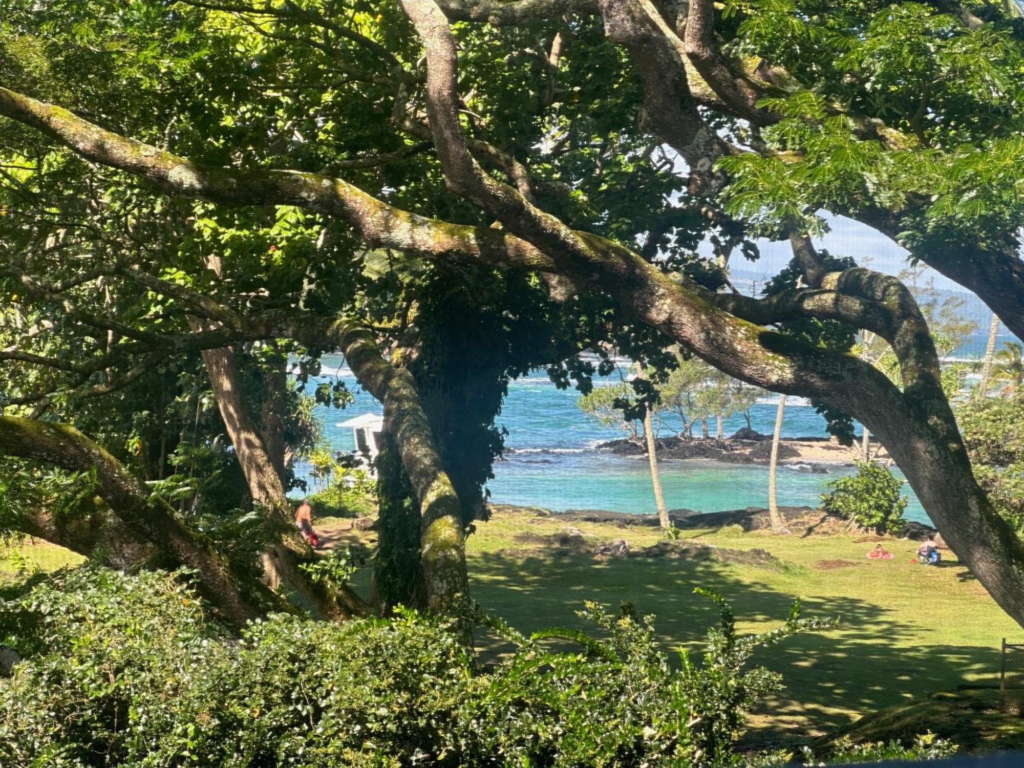 Ocean View Mauna Loa Shores Kai Ekahi #201 Next To Carlsmith Beach Park Hilo Hi Buitenkant foto
